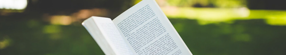 Lesson 3: Reading Banner